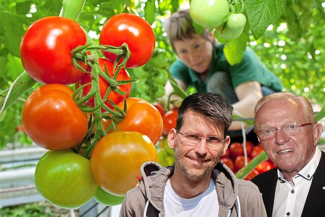 Fotomontage mit Hubert Schulte-Kemper und Björn Kurzke in einem Tomatengewächshaus.