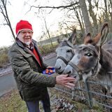 Jochen Preising verbringt nach dem Tod seiner Frau sein Weihnachten bei Freunden. Auch seine Esel, Brauni (li.) und Jule (re.), sind ihm eine willkommene Abwechslung.