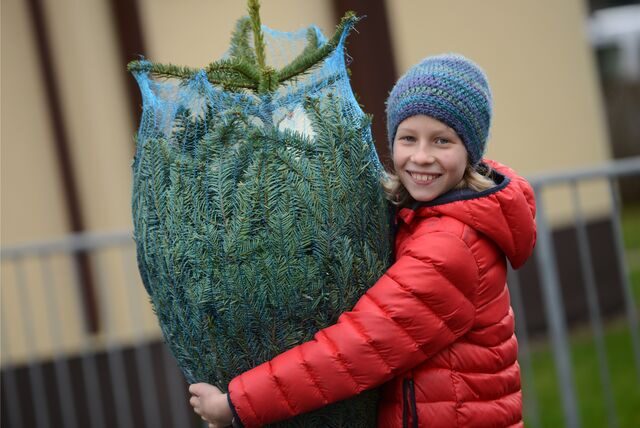 Ein Junge trägt einen in einem Netz eingepackten Weihnachtsbaum auf der Schulter.