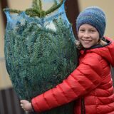 Ein Junge trägt einen in einem Netz eingepackten Weihnachtsbaum auf der Schulter.