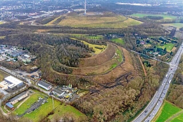 Im Inneren der Halde Graf Moltke in Gladbeck wütet seit Jahrzehnten ein Schwelbrand mit bis zu 400 Grad Celsius.