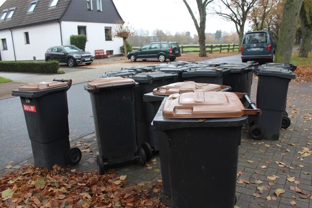 Mülltonnen stehen am Rand einer Straße in Waltrop.