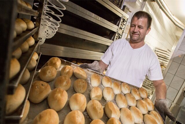 Bäcker vor einem Ofen hält ein Blech mit Brötchen-Teiglingen.