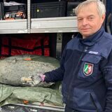 Andreas Brümmer vom Kampfmittelbeseitigungsdienst mit einer 5-Zentner-Bombe samt Zünder