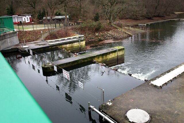 Zufluss der Stever zum Halterner Stausee.