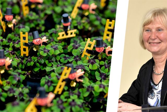 Montage: Links Glücksklee mit Schornsteinfeger-Figuren, rechts Anne Heck-Guthe, ehemalige Bürgermeisterin von Waltrop.