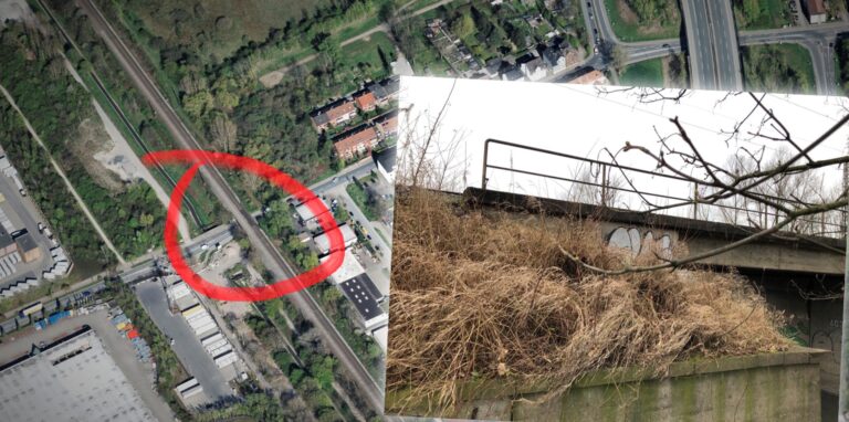 Die Fundstelle der Leiche an der Bahnbrücke in Herne-Börnig: Hier wurde der 22-jährige Castrop-Rauxeler am Freitag (21.1.22) von einem Bahnmitarbeiter gegen 11 Uhr aufgefunden.