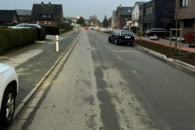 Die Birkenallee in Dorsten-Deuten