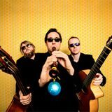Das Trio wildes Holz