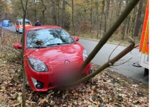 Ein roter Renault ist gegen einen Baum geprallt.