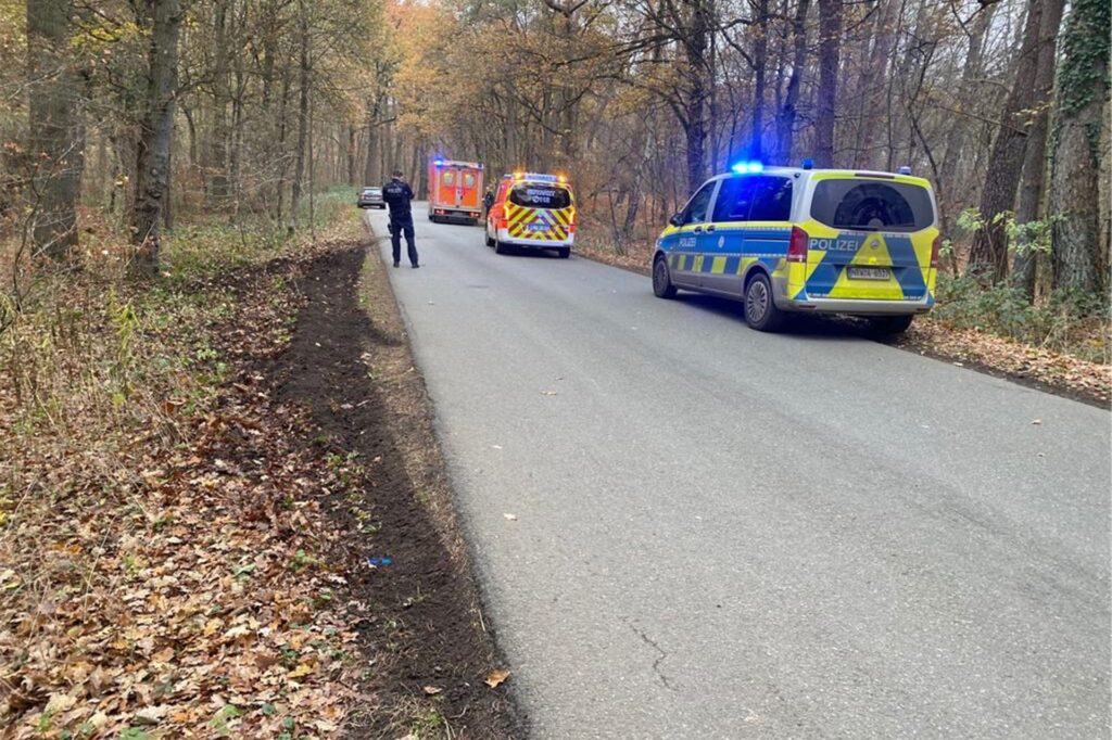 Spuren vor Unfall in einem Wald. Spuren vor Unfall in einem Wald.