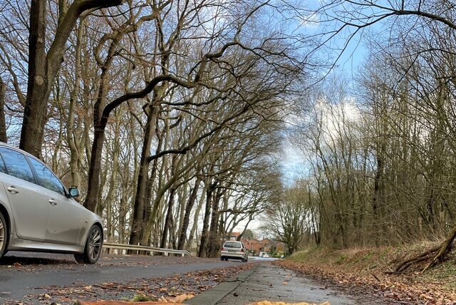 Der Hellweg zwischen Schwerin und Merklinde.