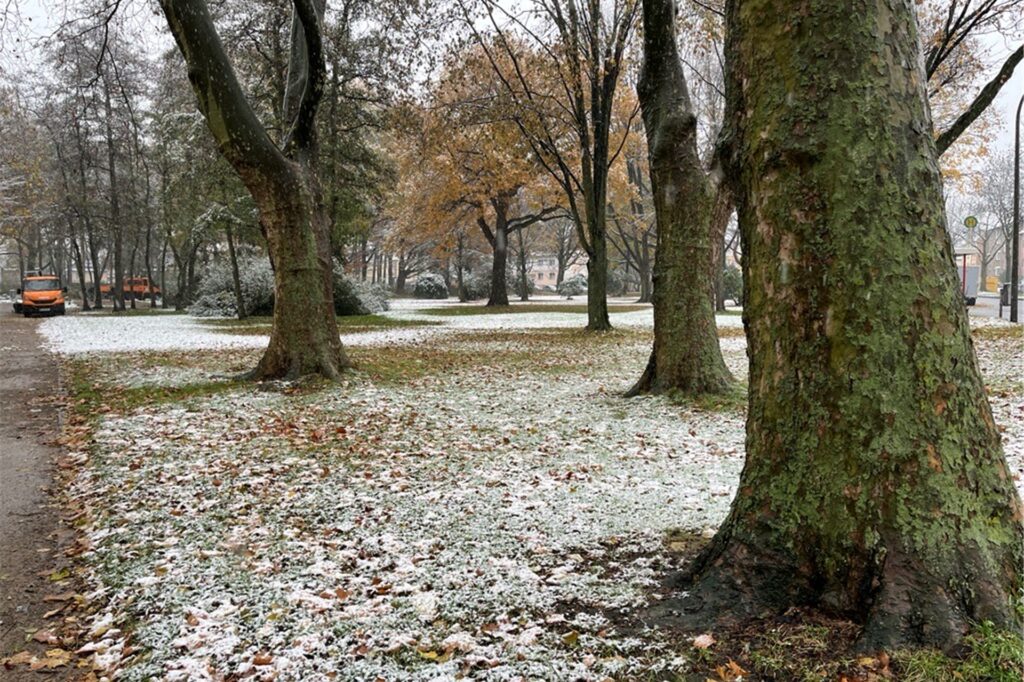 Etwas Schnee liegt auf einer Wiese in Eving.