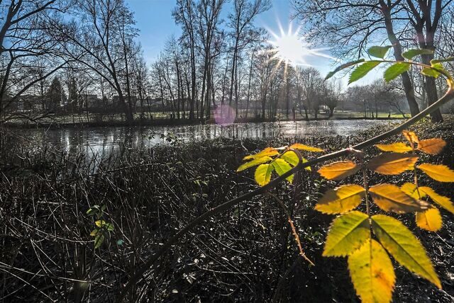 Ein Blick auf den Teich im Moselbachpark in Waltrop.