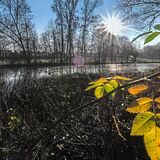 Ein Blick auf den Teich im Moselbachpark in Waltrop.