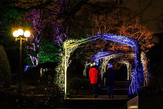 Zwei Personen beim Winterleuchten im Westfalenpark