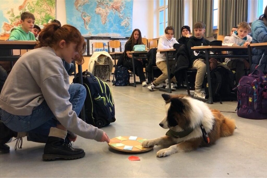 Nahla dreht den Teller, Peanut haut mit der Pfote auf eine der Karten: Damit steht das Thema für die Gruppenarbeit fest.