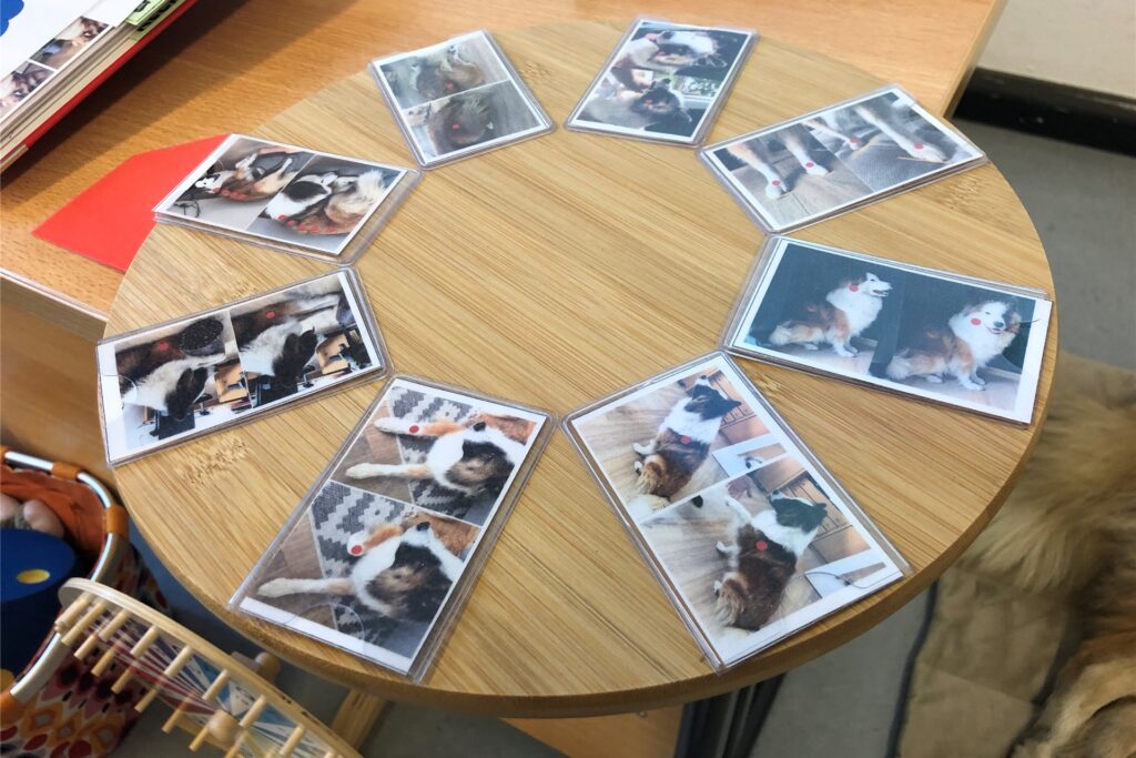 Auf einem Drehteller sind mit Fotos Aufgaben beschrieben.