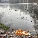 Entsorgte Essenreste am Seeufer in Barkenberg