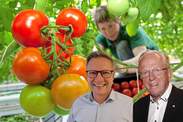 Die Montage zeigt eine Arbeiterin in einem Tomatengewächshaus. Davor Bürgermeister Carsten Wewers und Fakt-AG-Chef Hubert Schulte-Kemper.