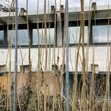 Die Schule an der Kampstraße