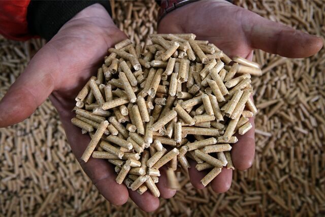 Ein Mann hält Holzpellets in seinen Händen.