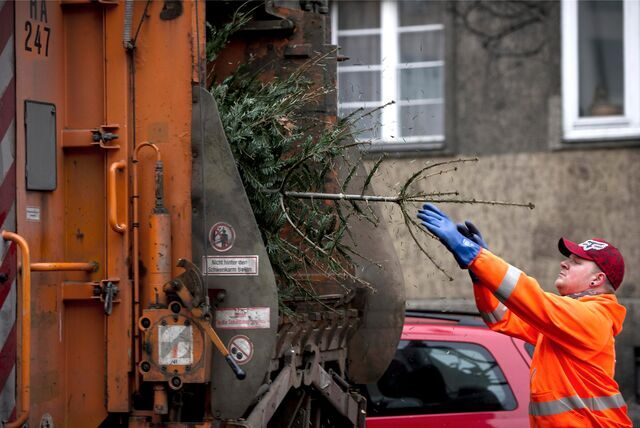 Ein Mitarbeiter einer Stadtreinigung entsorgt einen alten Weihnachtsbaum.