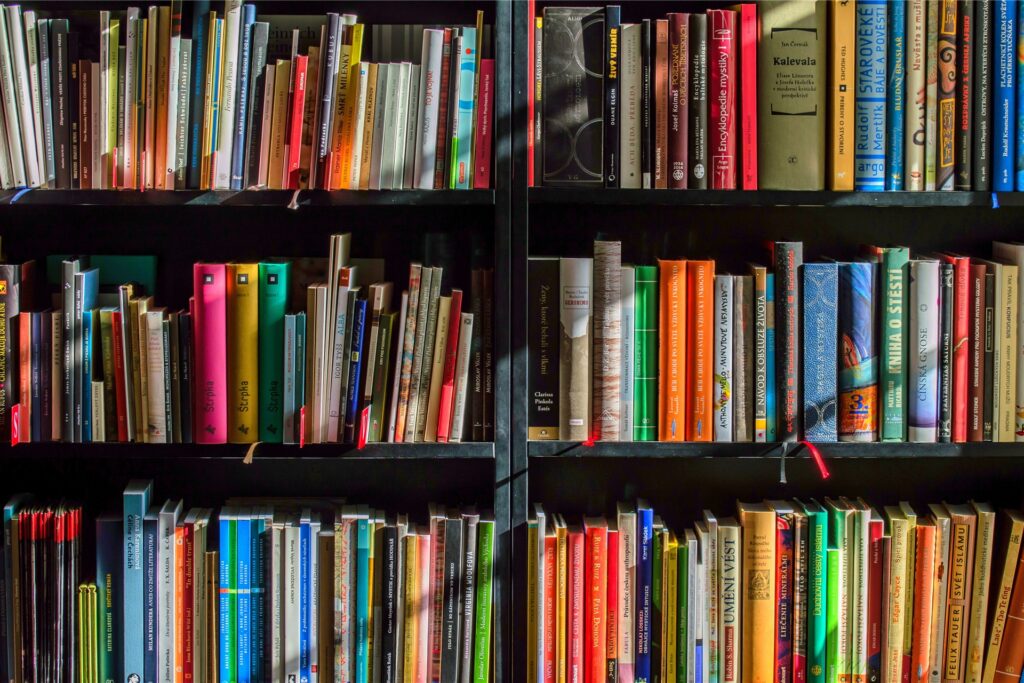 regal voller bücher