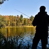 Ein Angler versucht mit einer Spinnangel an einem See einen Fisch zu fangen.