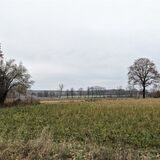 Eine Fläche unweit des ehemaligen RAG-Schachtes in Altendorf-Ulfkotte kommt laut Amprion als Standort für eine riesige Konverter-Station infrage.