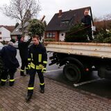 Vier Feuerwehrleute packen Tannenbäume auf die offene Ladefläche eines Lastwagens.
