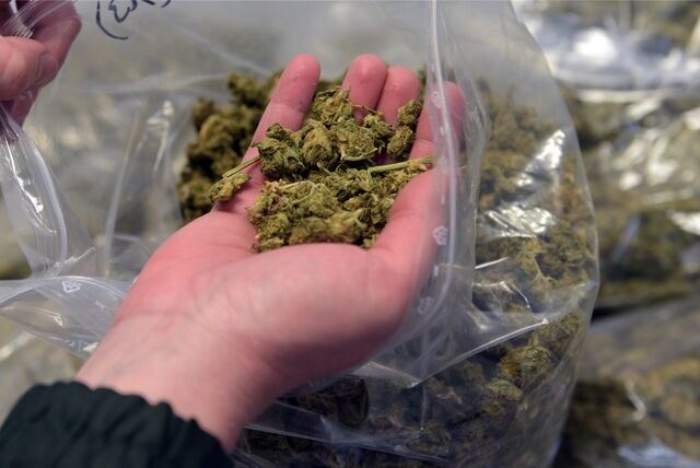 In einem geparkten Pkw in Recklinghausen-Ost entdeckte die Polizei 14 Kilo Marihuana. (Symbolbild)
