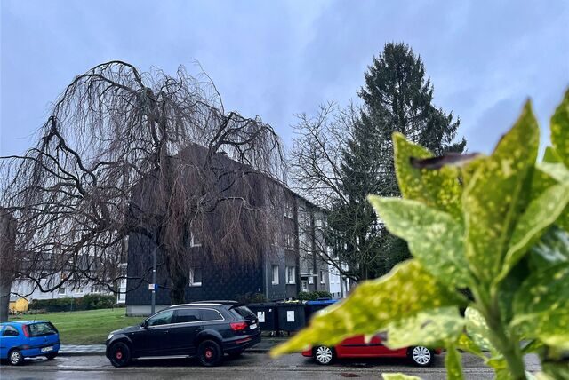 In einem Mehrfamilienhaus an der Deitertstraße im Stadtteil Hostedde hat es am Dienstagabend (10.1.) ein versuchtes Tötungsdelikt gegeben.