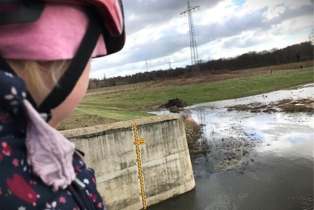 Eine Messlatte bildet den Wasserstand der Emscher am Rückhaltebecken in Mengede/Ickern ab.