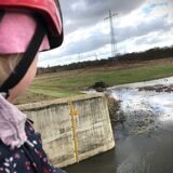 Eine Messlatte bildet den Wasserstand der Emscher am Rückhaltebecken in Mengede/Ickern ab.