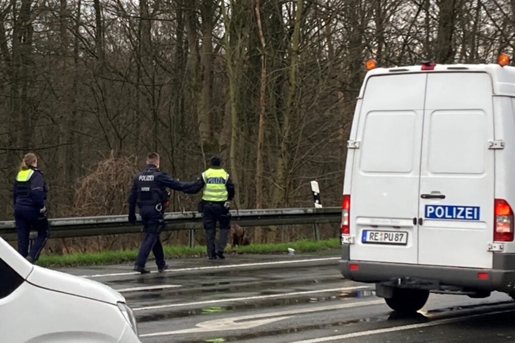 Polizeibeamte mit Mantrailer-Hund sind südlich der Autobahn 2 auf der Münsterstraße in Gelsenkirchen unterwegs. Der Hund hatte am Tatort in Herten-Backum eine Spur aufgenommen und lief danach quer durch Herten-Mitte und -Süd bis zu A2 und weiter.