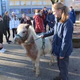 Pferde-Osteopathin Sabine Schöndorf auf dem Hof des Waltroper Gymnasiums.