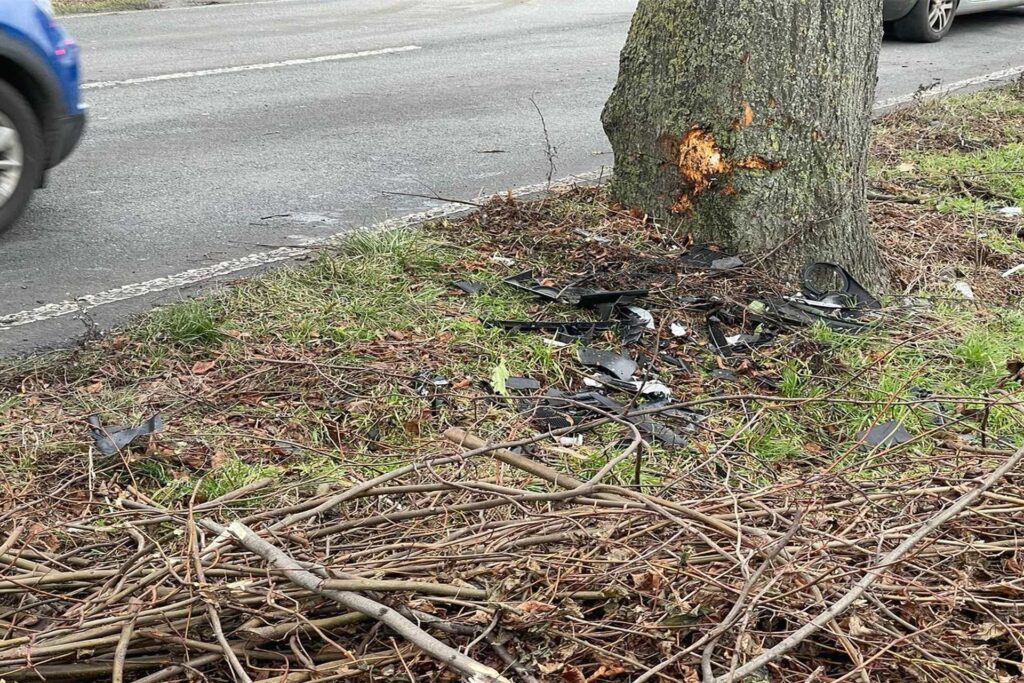 Am Baum waren die Spuren des Unfalls sichtbar. Am Baum waren die Spuren des Unfalls sichtbar.