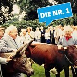 Bürgermeister und Nachbarschaft beim Kuhauftrieb an der Hullerner Straße.