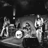 Die Band Zen Trip aus Dortmund spielt am Samstag im Hagenbusch beim Purple Noises Festival.