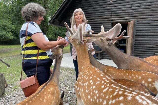 Das Wildgehege in Deininghausen wurde gerettet, weil sich 2004 eine Bürgerinitiative dafür stark machte. Marianne Scheer (r.) ist bis heute aktiv im Grutholz und sucht Hilfe.