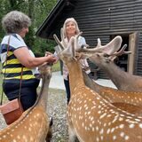 Das Wildgehege in Deininghausen wurde gerettet, weil sich 2004 eine Bürgerinitiative dafür stark machte. Marianne Scheer (r.) ist bis heute aktiv im Grutholz und sucht Hilfe.