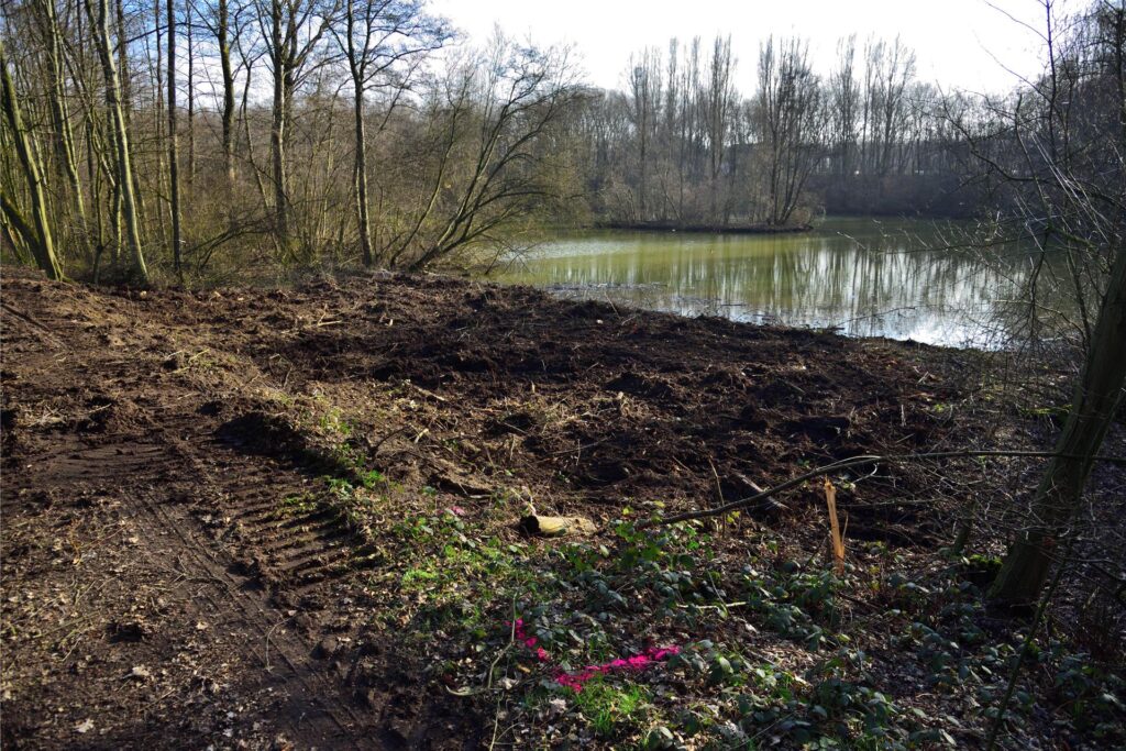 Vor dem Regenrückhaltebecken an der Flurstraße wurden Bäume und Sträucher abgeholzt. Vor dem Regenrückhaltebecken an der Flurstraße wurden Bäume und Sträucher abgeholzt.