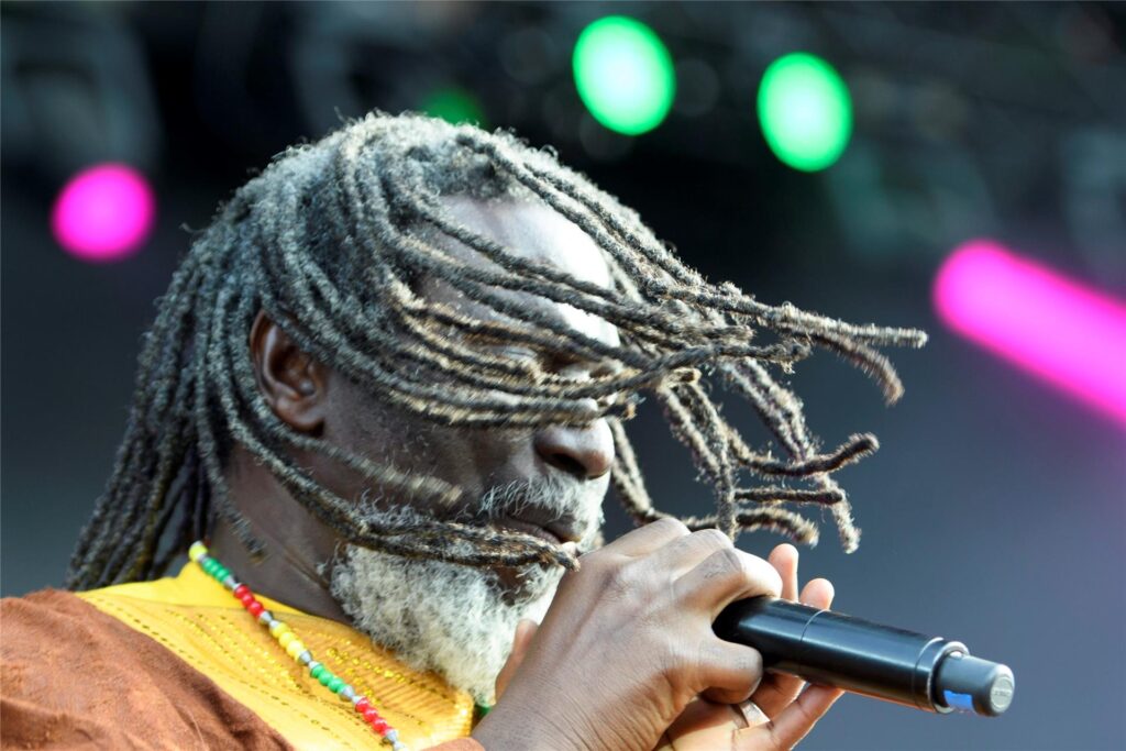 Reggae-Sänger Tiken Jah Fakoly von der Elfenbeinküste tritt beim 41. Paleo-Festival auf. Reggae-Sänger Tiken Jah Fakoly von der Elfenbeinküste tritt beim 41. Paleo-Festival auf.