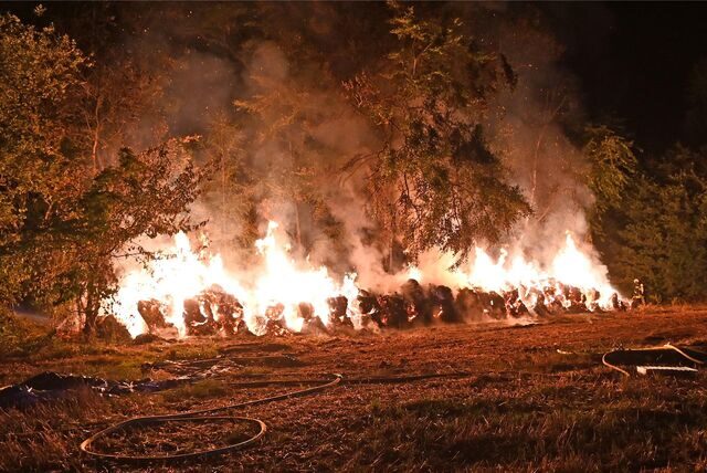 Eine mutmaßliche Brandstifterin aus Dorsten muss sich demnächst vor Gericht verantworten. Ihr werden nicht nur mehrere Brände zur Last gelegt.