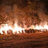 Eine mutmaßliche Brandstifterin aus Dorsten muss sich demnächst vor Gericht verantworten. Ihr werden nicht nur mehrere Brände zur Last gelegt.