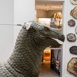 Im Naturmuseum stand der Frühjahrsputz an. Auch der Dino musste abgestaubt werden.