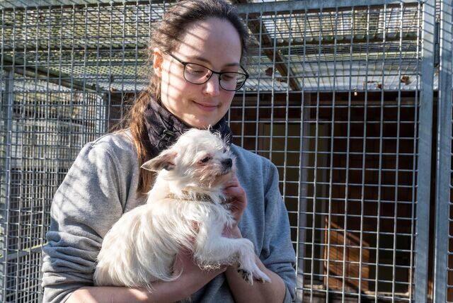 Tierpflegerin Vanessa Ballweg hält einen der Hunde, die aus der Wohnung in der Zimmerstraße geholt worden waren.
