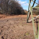 Run um einen Strommast im Pöppinghauser Wald wurden Pflanzen entfernt. Jetzt ist es um den Strommast trocken und kahl.