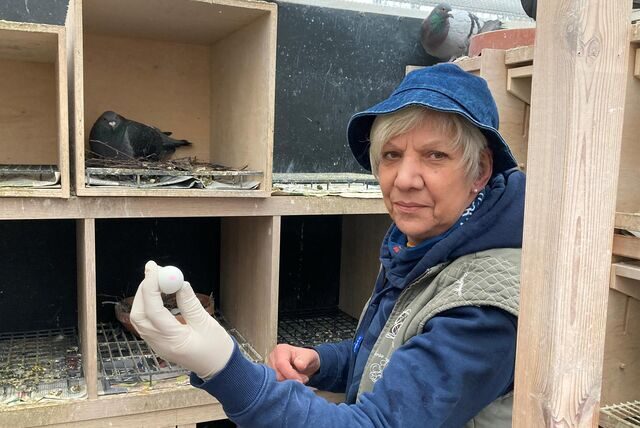 Eine Frau steht mit einem Gips-Ei in der Hand in einem Taubenhaus.